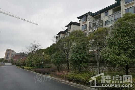明发锦绣银山实景图