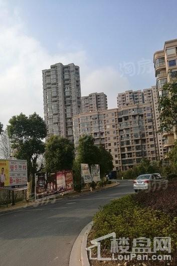 实景图