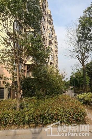 明发锦绣银山实景图
