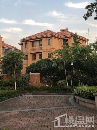 金桥花园实景图