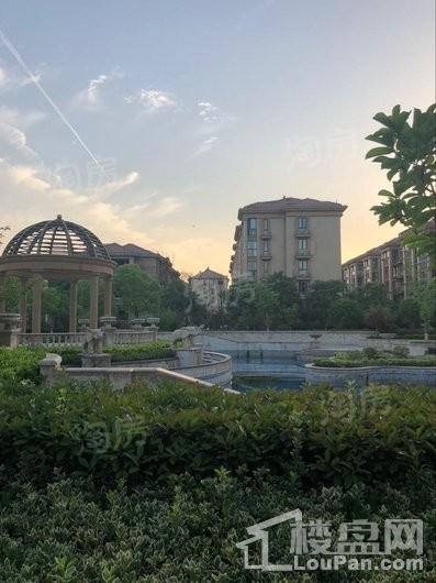 金桥花园实景图