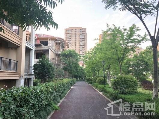 金桥花园实景图