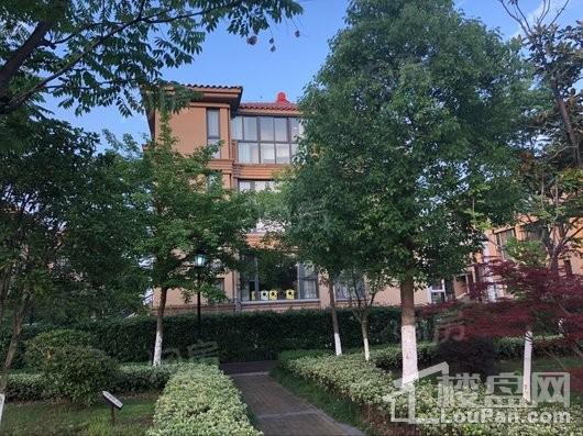 金桥花园实景图