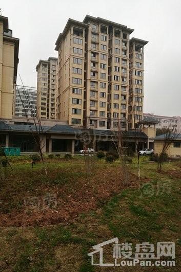 聚鑫雅苑实景图