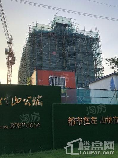 中业·伴山公馆实景图