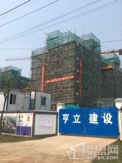 中业·伴山公馆实景图
