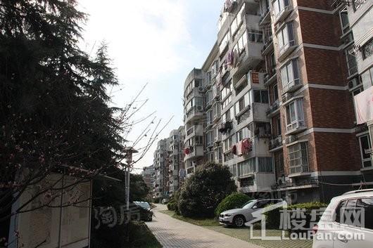 阳光丽景实景图