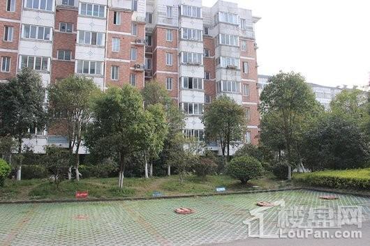 阳光丽景实景图