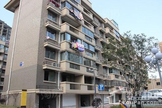 阳光丽景实景图