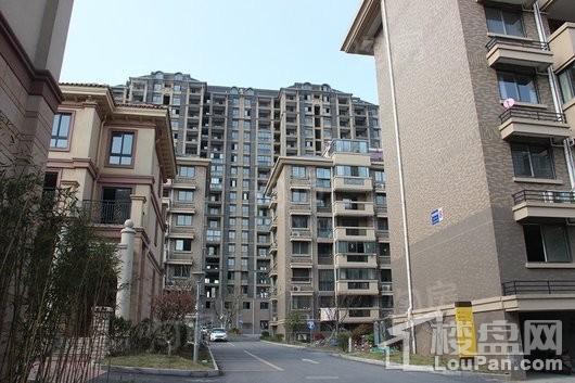 阳光丽景实景图