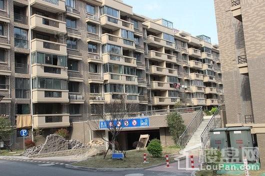 阳光丽景实景图
