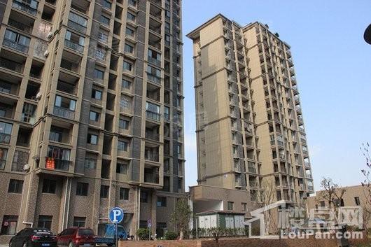 阳光丽景实景图