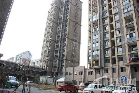 阳光丽景实景图