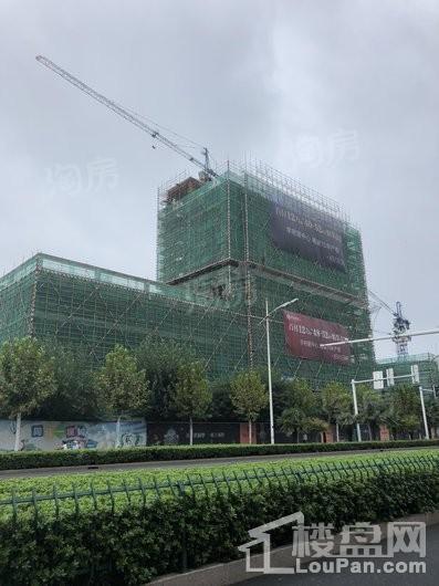 实景图