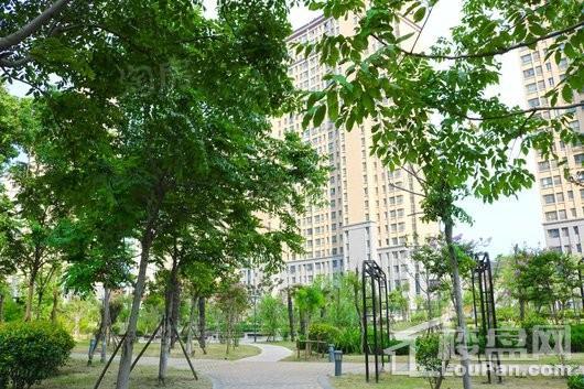 锦盛豪庭实景图