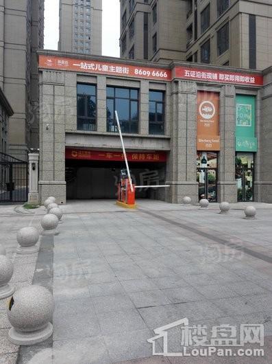 林荫大院实景图