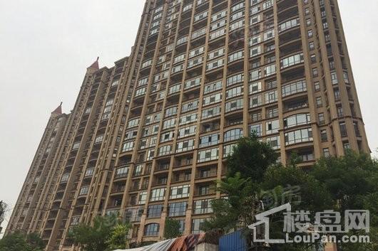 天阳御珑湾实景图