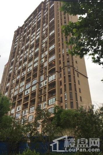 天阳御珑湾实景图