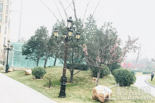 天阳御珑湾实景图
