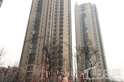 天阳御珑湾实景图
