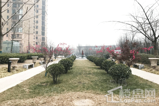 天阳御珑湾实景图
