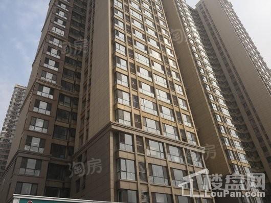 泰丰观湖实景图