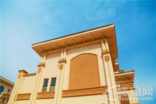 奥冠水悦龙庭实景图
