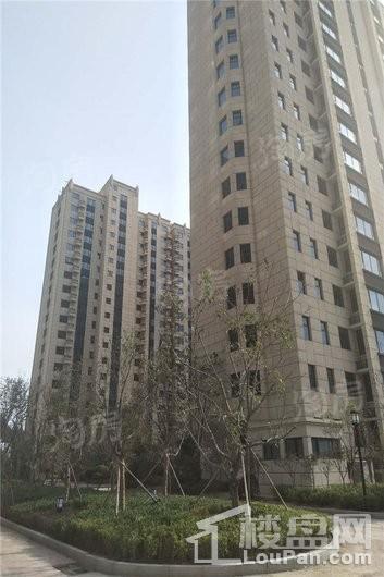新合国际锦合园实景图