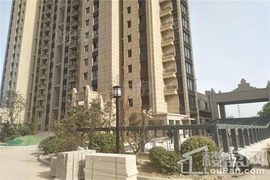 新合国际锦合园实景图