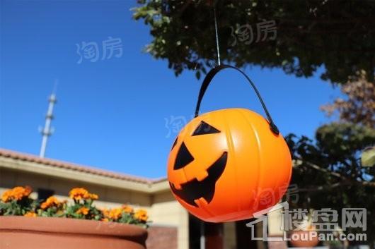 半岛名邸二期实景图