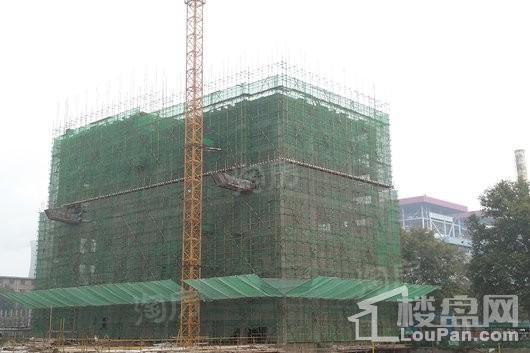 光华里悦公馆实景图