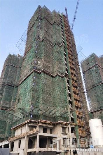 安联生态城实景图