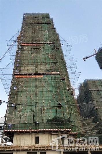 安联生态城实景图