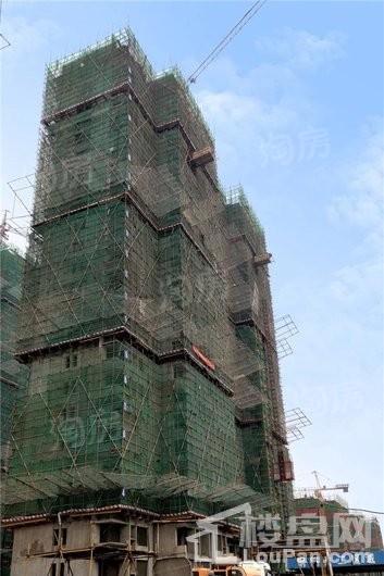 实景图