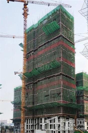 安联生态城实景图