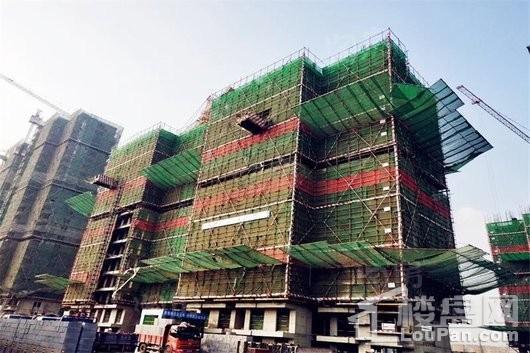 安联生态城实景图