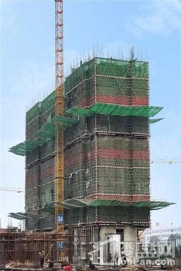 安联生态城实景图