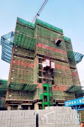 安联生态城实景图