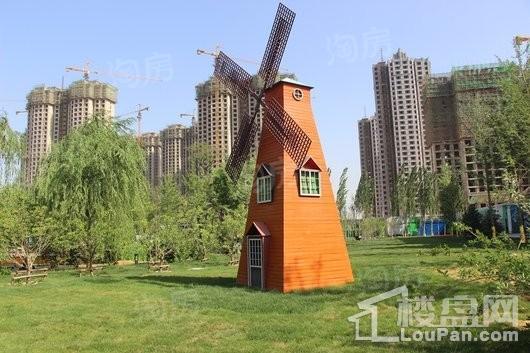 实景图