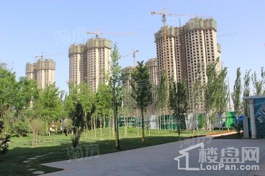 高远森林城实景图