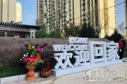 高远森林城实景图