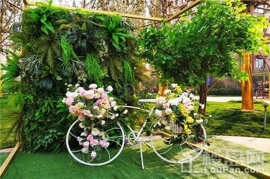 百岛绿城实景图