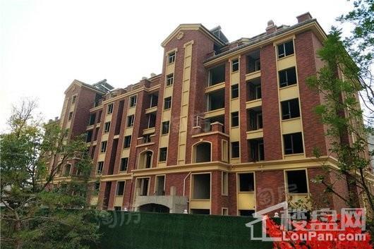 百岛绿城实景图