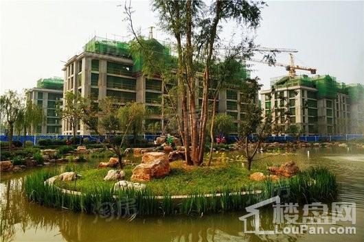 百岛绿城实景图