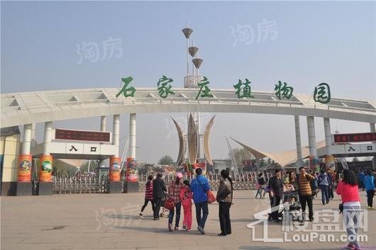 百岛绿城配套图