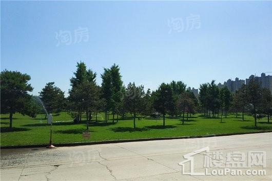 百岛绿城配套图