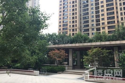 盛邦大都会五期实景图