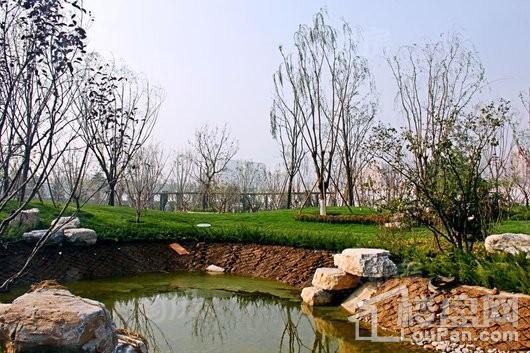 尚宾城实景图