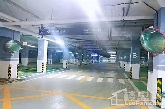 保利西悦春天实景图