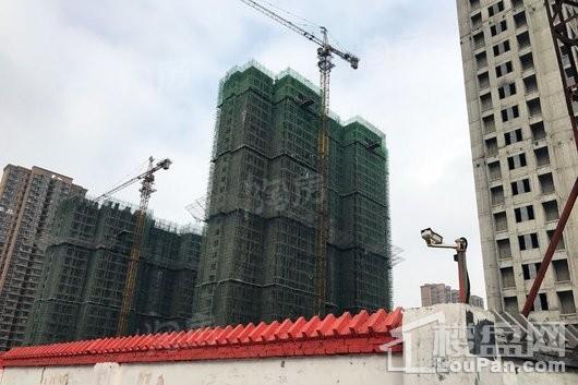实景图